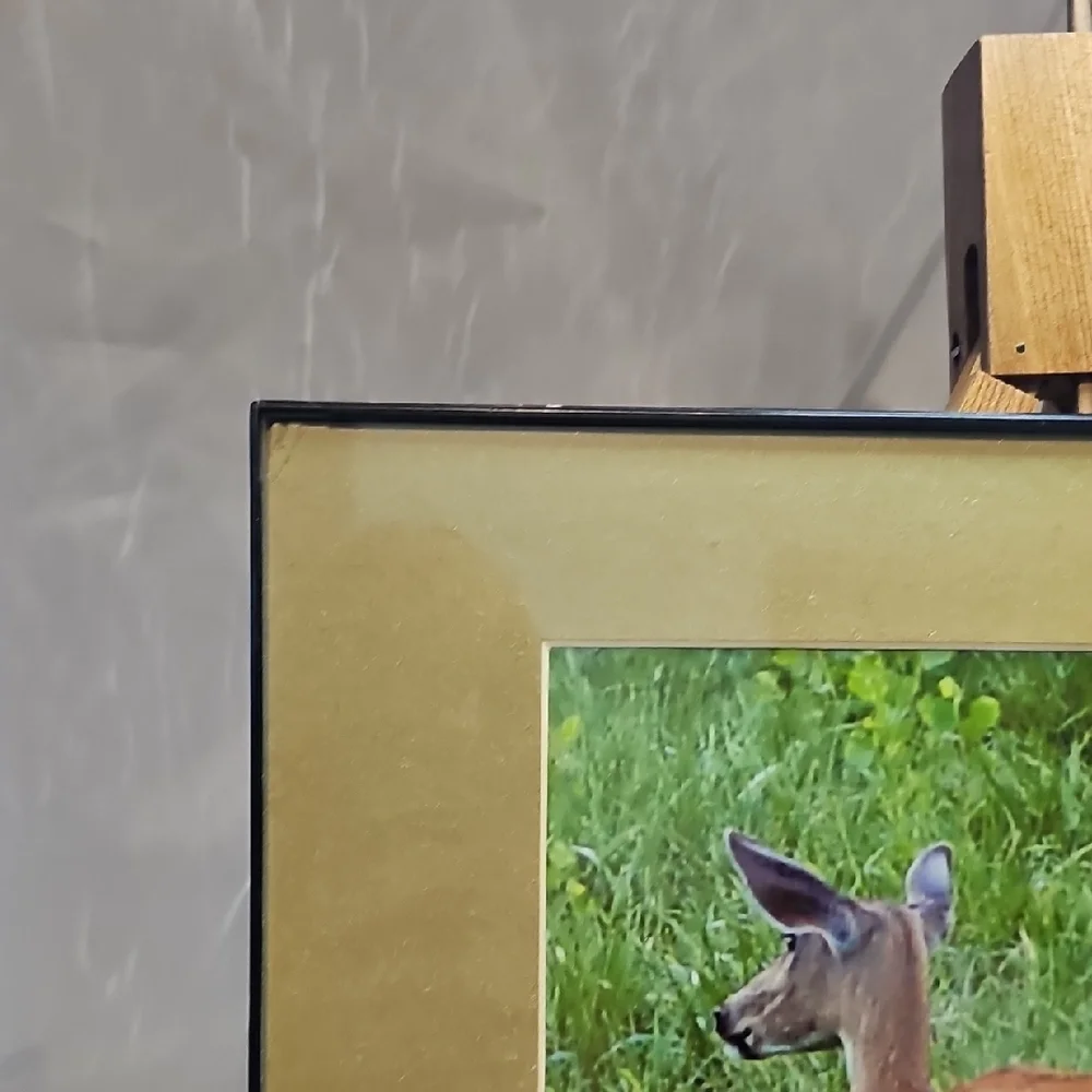 Pair Of Framed Wildlife Art Prints - Deer And Crane.